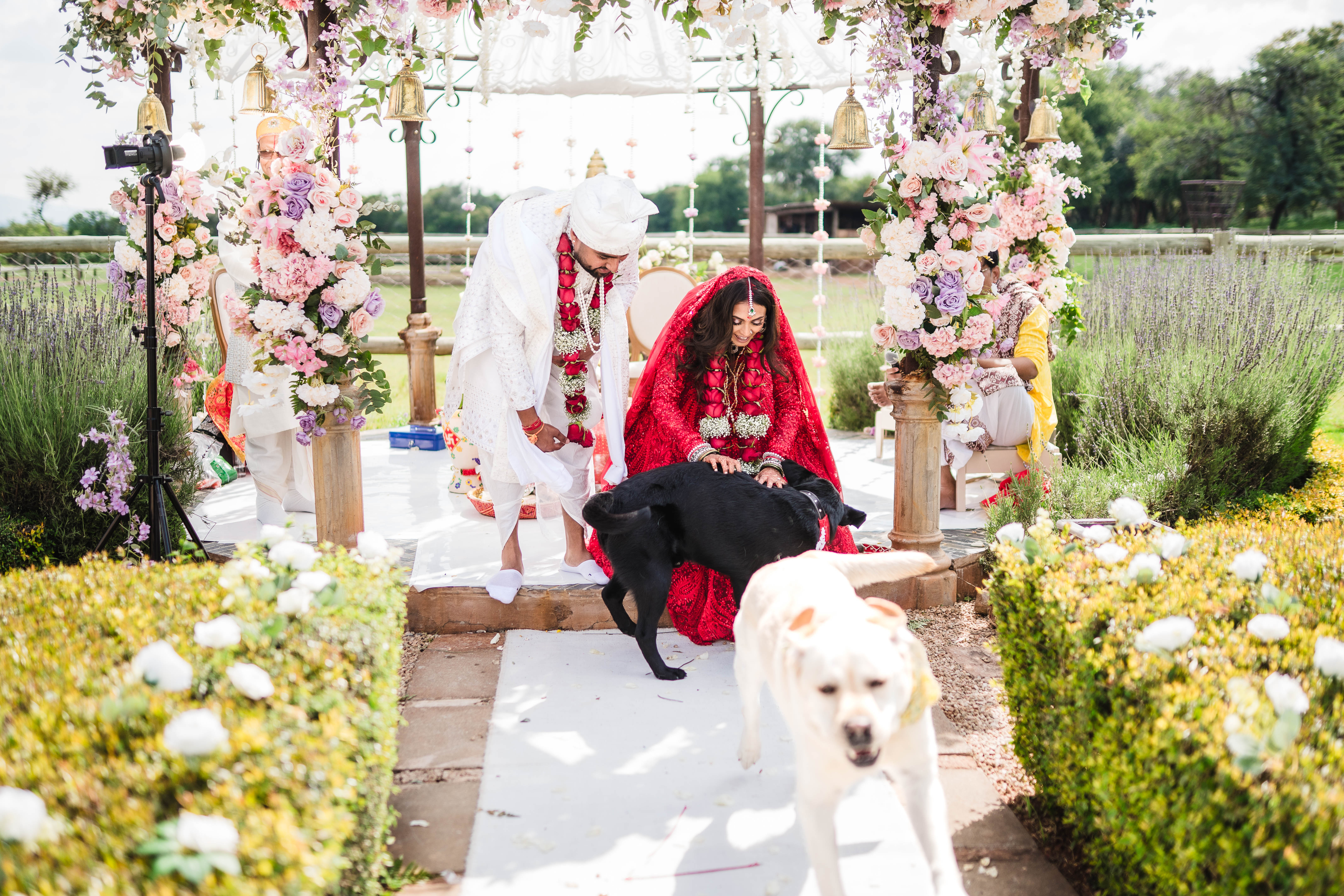 Wedding-0331